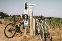 250621-0916-tdebelle-boleroVlaamsBrabant-34